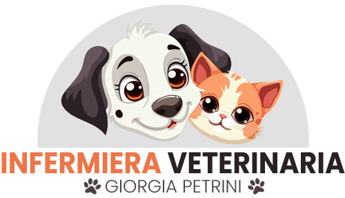 Infermiera Veterinaria a Domicilio